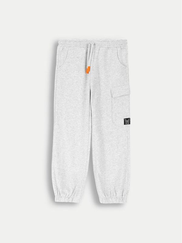 Coccodrillo Coccodrillo Donji dio trenerke ZC4120201MGJ Siva Regular Fit