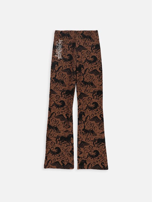 Coccodrillo Coccodrillo Hlače ZC3122101LGH Smeđa Regular Fit