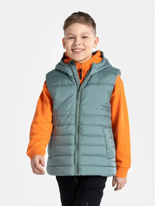 Coccodrillo Coccodrillo Prsluk WC4178101OBK Zelena Regular Fit