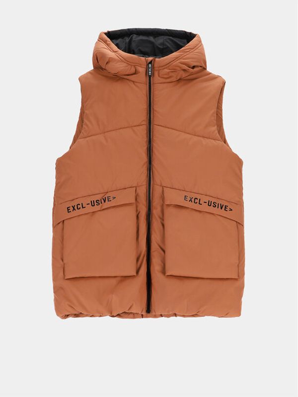 Coccodrillo Coccodrillo Prsluk ZC2178102OBJ Smeđa Regular Fit