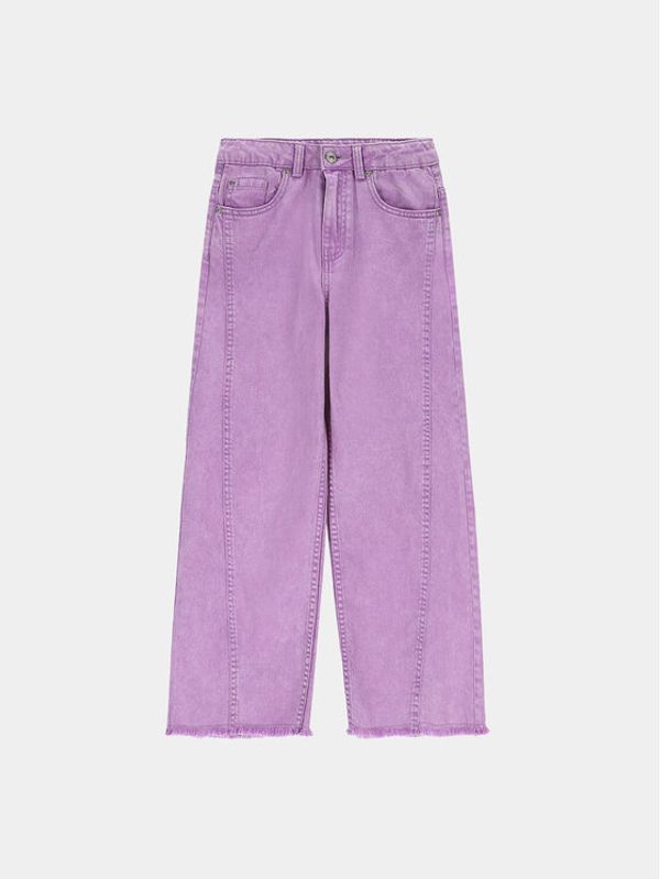 Coccodrillo Coccodrillo Traperice ZC3123102JCG Ljubičasta Regular Fit