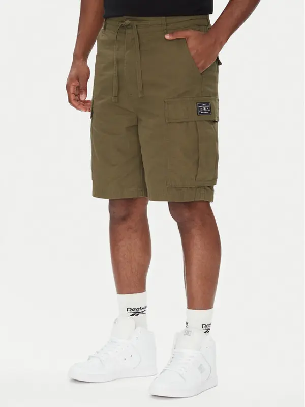 DC Shoes DC Shoes Kratke hlače Tundra ADYWS03086 Zelena Regular Fit