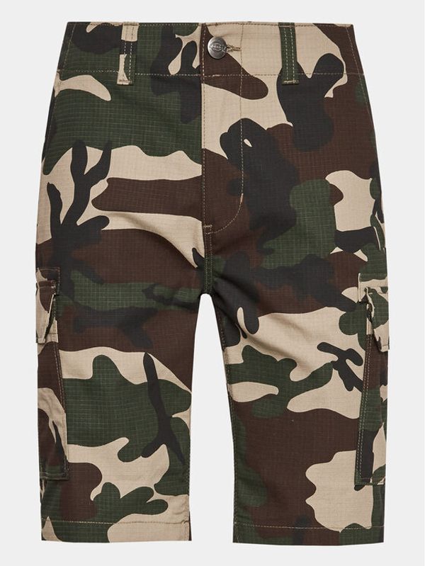 Dickies Dickies Kratke hlače MILLERVILLE DK0A4XEDCF01 Kaki Regular Fit