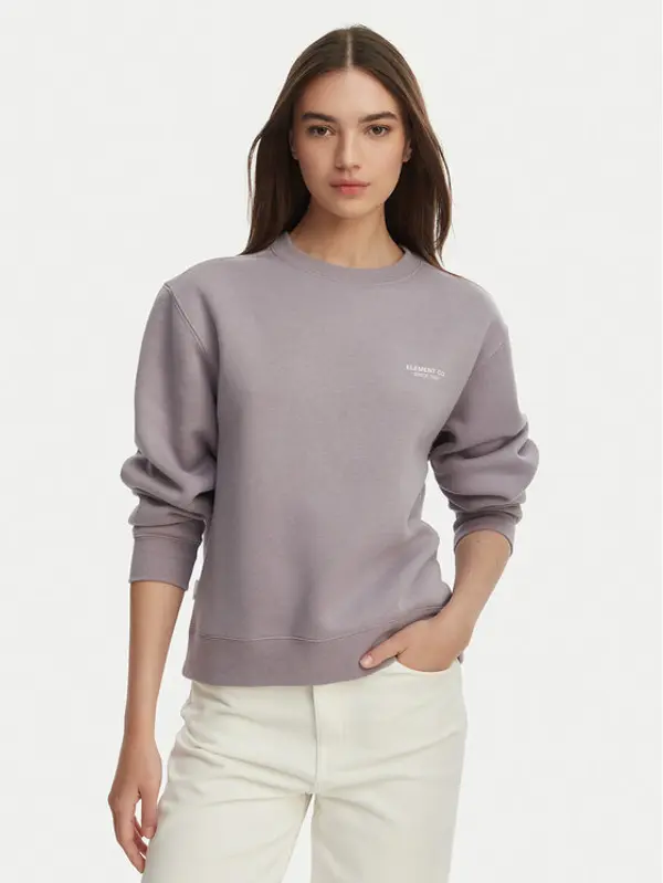 Element Element Majica dugih rukava Element Co Cr W ELJFT00123 Ljubičasta Boxy Fit