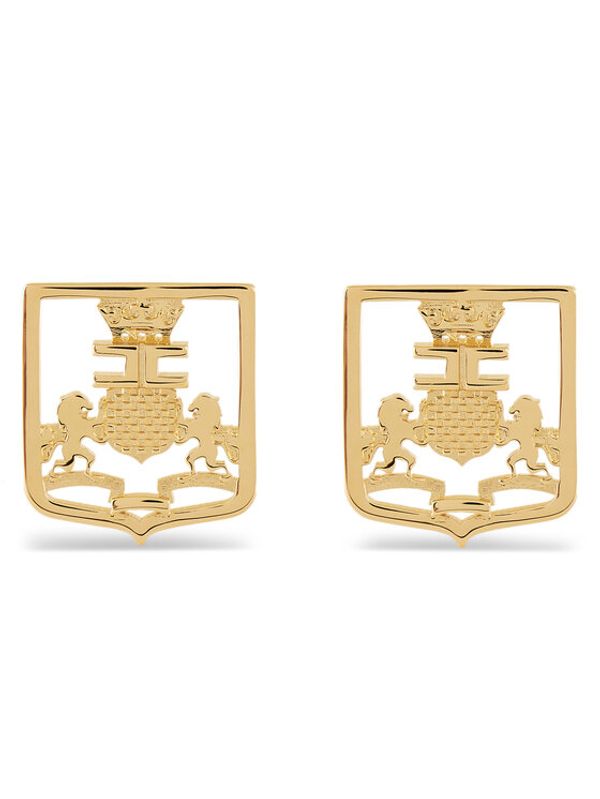 Elisabetta Franchi Elisabetta Franchi Naušnice OR-23A-46E2-V120 Zlatna