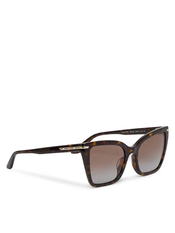 Emporio Armani Emporio Armani Sunčane naočale 0EA4273BU 502689 Smeđa