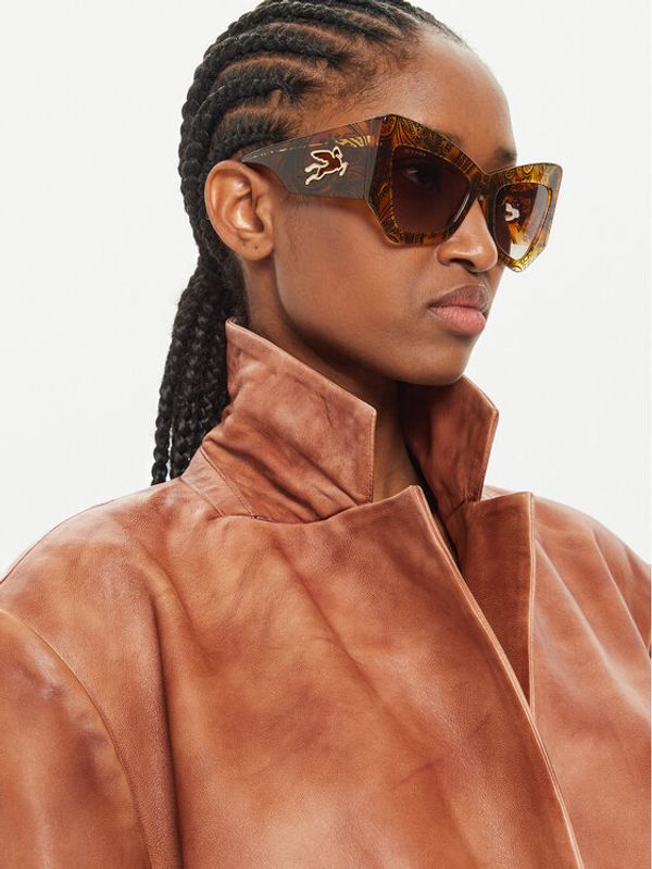 Etro Etro Sunčane naočale Etromania 207680 Smeđa