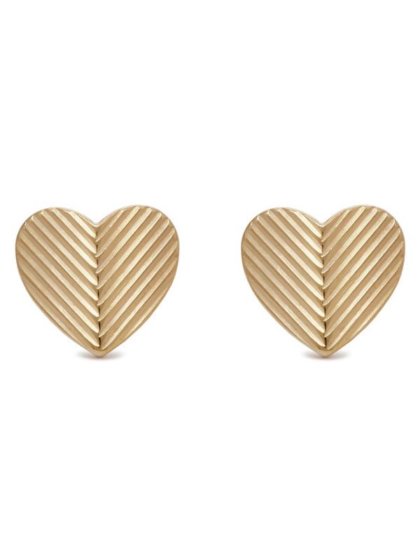 Fossil Fossil Naušnice JF04654710 Zlatna