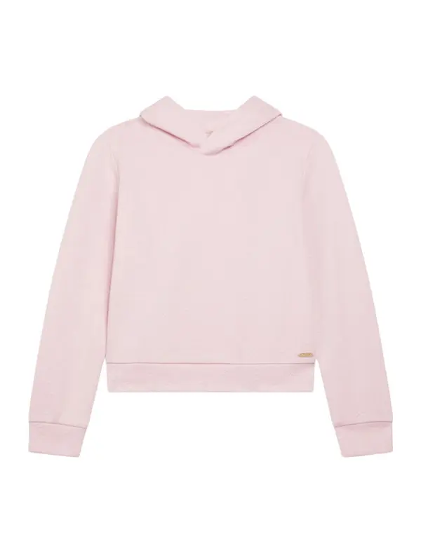 Guess Guess Majica dugih rukava J6RQ14 KCHR2 Ružičasta Regular Fit