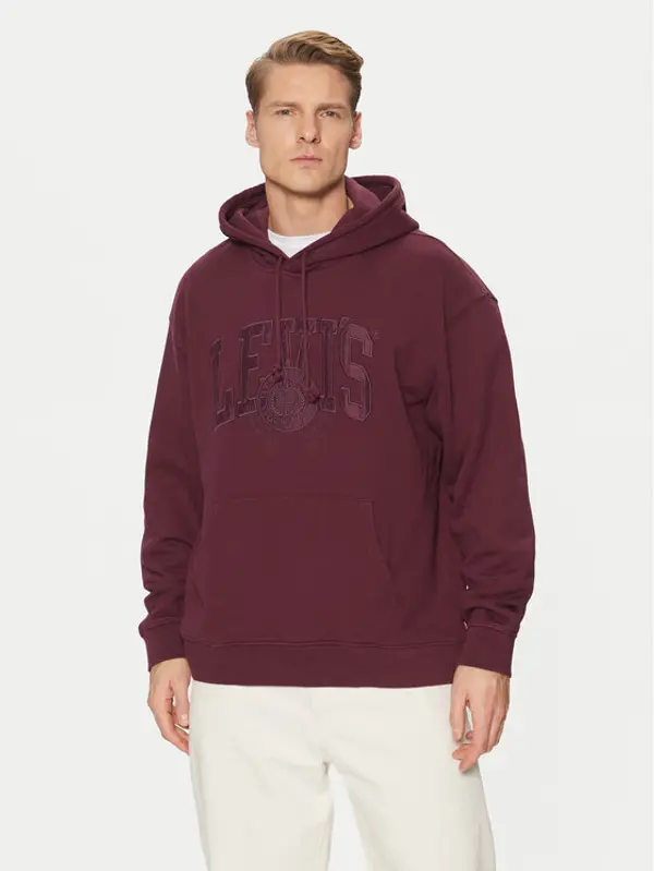 Levi's® Levi's® Majica dugih rukava Graphic 38479-0404 Ljubičasta Relaxed Fit