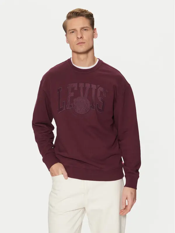 Levi's Levi's® Majica dugih rukava Graphic 38712-0442 Ljubičasta Relaxed Fit