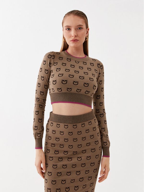 PINKO Pinko Džemper Furetto 101561 A112 Smeđa Slim Fit