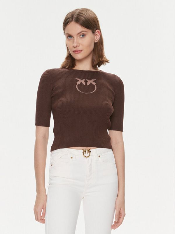 PINKO Pinko Džemper Tritone Maglia . 102017 A1KW Smeđa Slim Fit