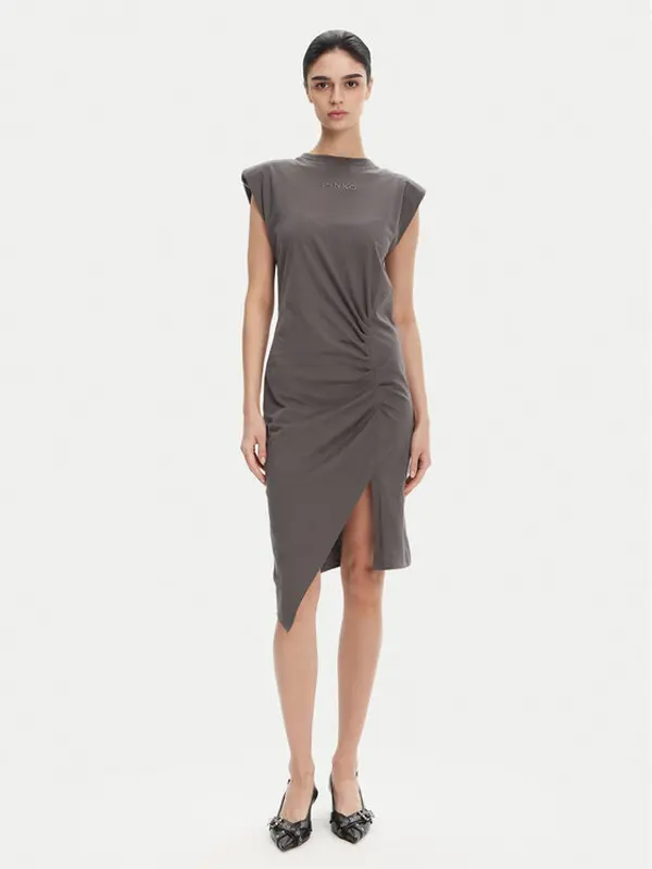 pinko PINKO Haljina za svaki dan 104614 A2HE Siva Regular Fit