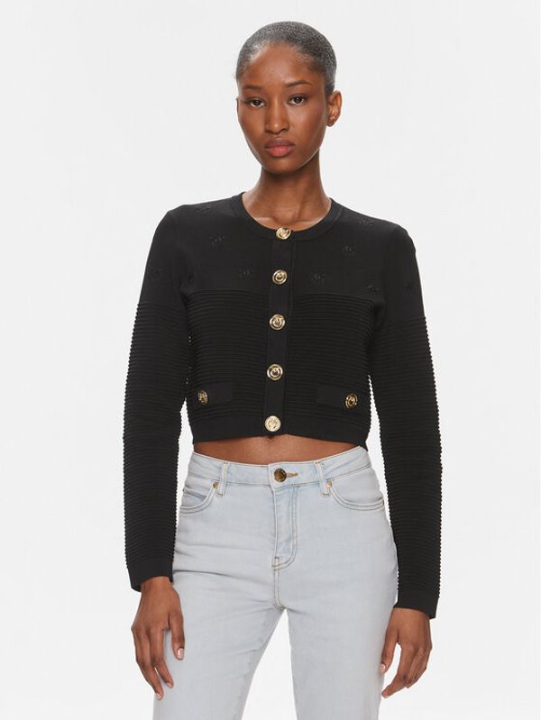 PINKO Pinko Kardigan Ciliegio 102881 A1LK Crna Regular Fit