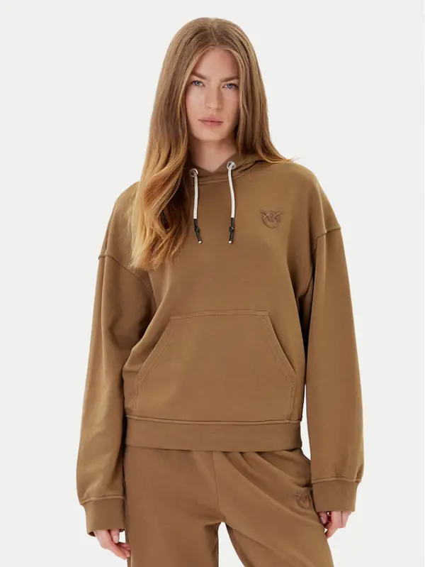 pinko PINKO Majica dugih rukava Melato 105507 A2RB Smeđa Regular Fit