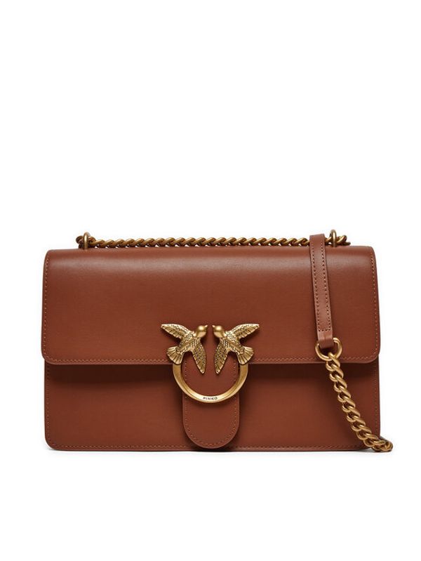 Pinko Pinko Torbica Love One Classic Dc AI 24-25 PLTT 100941 A0F1 Smeđa