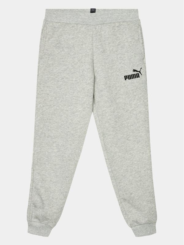 Puma Puma Donji dio trenerke Ess 587038 Siva Regular Fit