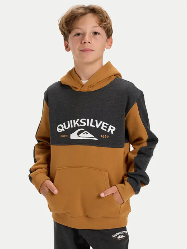 Quiksilver Quiksilver Majica dugih rukava Knowledge AreaYouth EQBFT03948 Šarena Regular Fit
