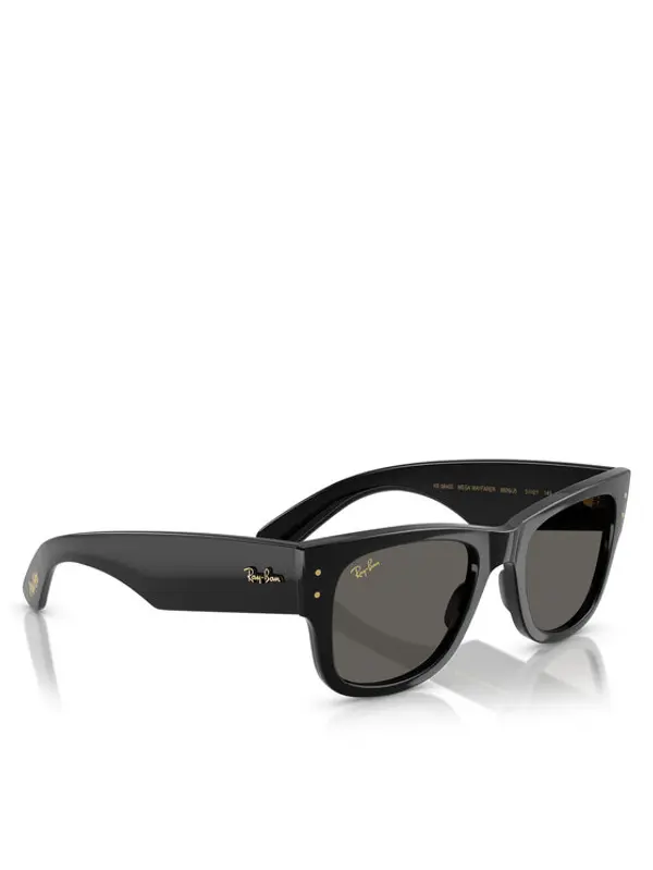 Ray-Ban Ray-Ban Sunčane naočale 0RB0840S Crna