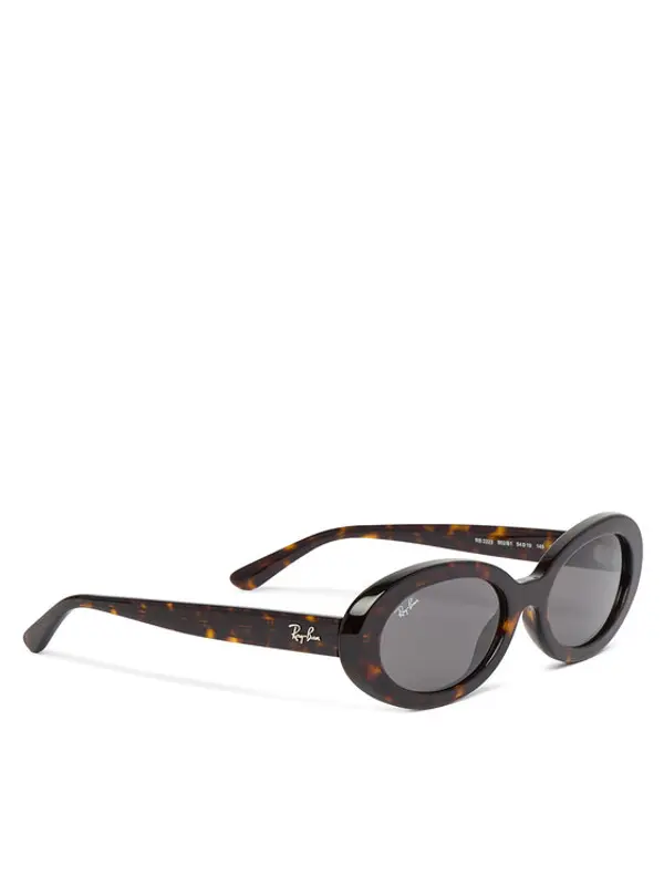 Ray-Ban Ray-Ban Sunčane naočale 0RB2223 Smeđa