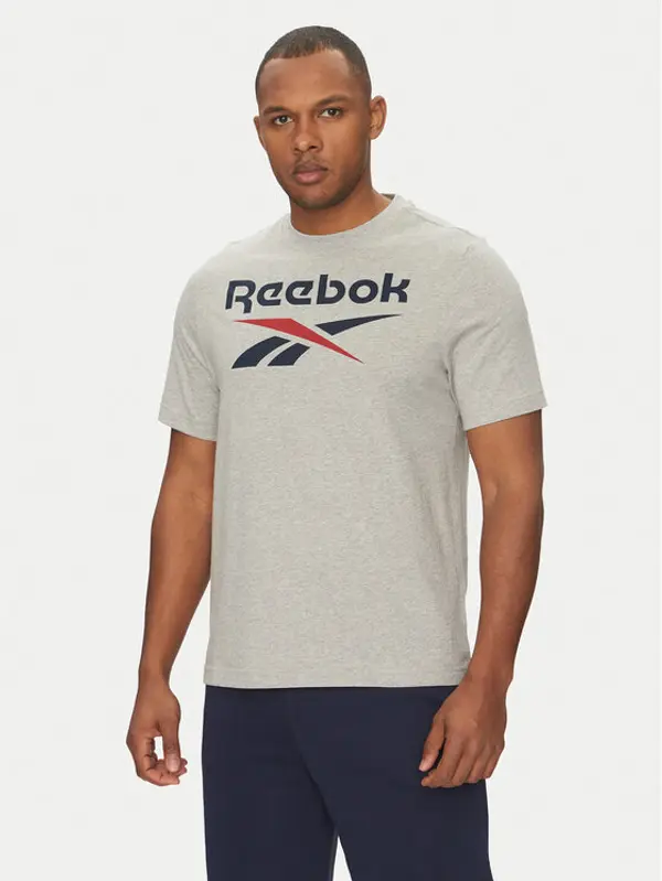 Reebok Reebok T-shirt 100217137 Siva Regular Fit