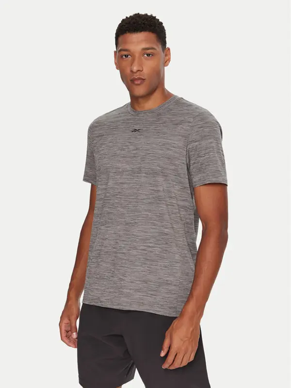 Reebok Reebok T-shirt RK25178CCM Siva Standard Fit