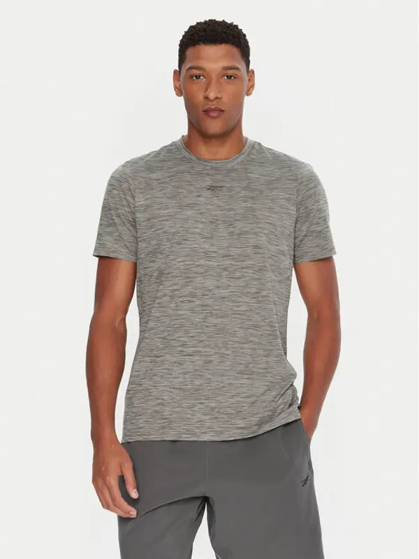 Reebok Reebok T-shirt RK25178CCM Siva Standard Fit