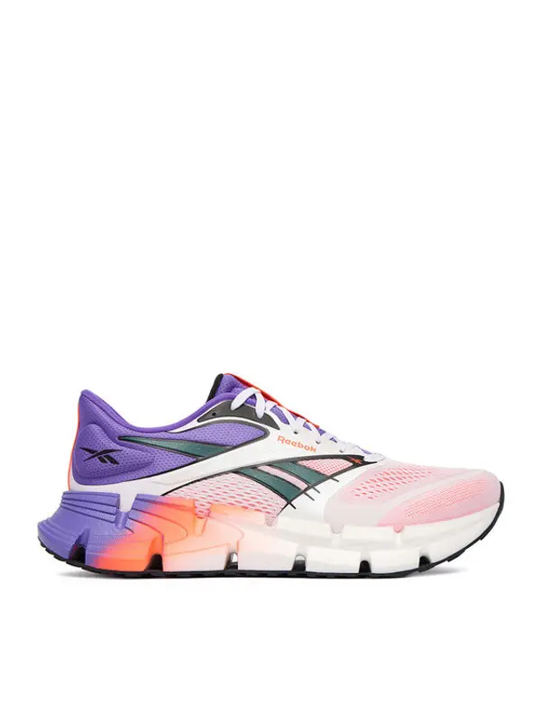 Reebok Reebok Tenisice za trčanje EOSB-FLOATZIG 2 100225499 Šarena