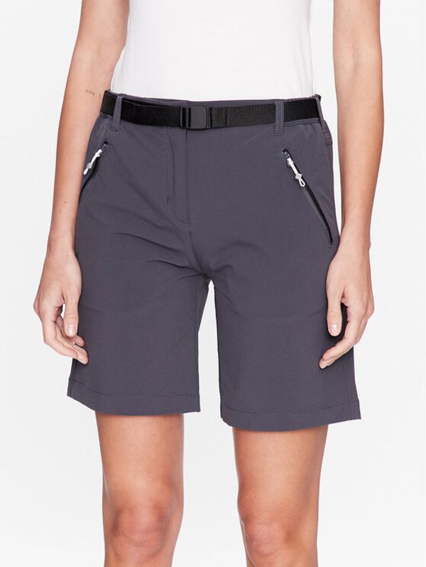 Regatta Regatta Sportske kratke hlače Xert III RWJ221 Siva Regular Fit