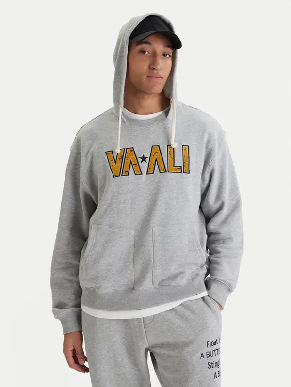 RVCA RVCA Majica dugih rukava Va X Ali 23A413500 Siva Regular Fit