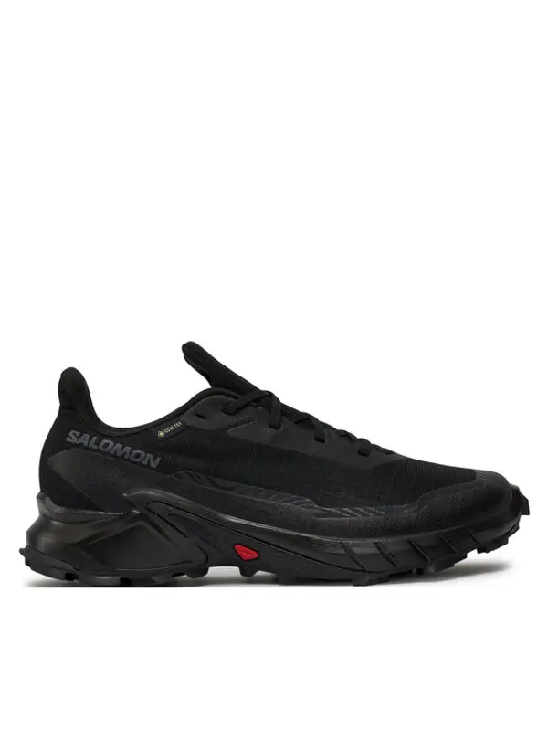 Salomon Salomon Tenisice za trčanje Alphacross 5 Gore-Tex L47307500 Crna