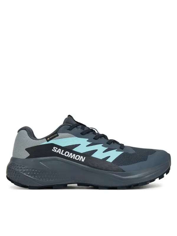 Salomon Salomon Tenisice za trčanje Alphaglide Gore-Tex L47802500 Siva