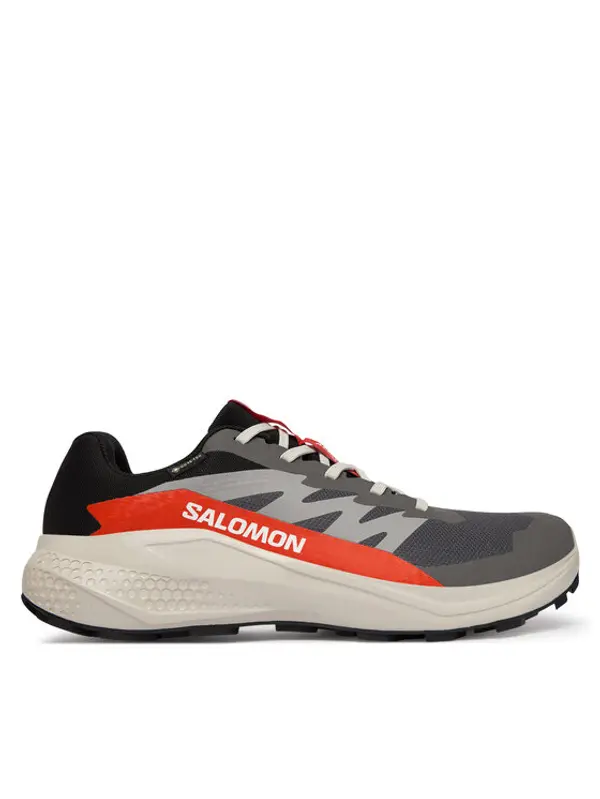 Salomon Salomon Tenisice za trčanje Alphaglide Gore-Tex L47975300 Siva