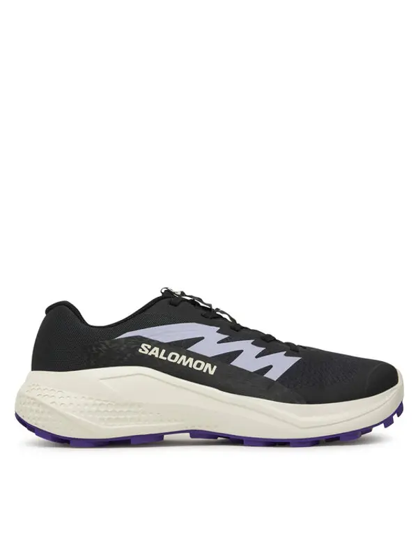 Salomon Salomon Tenisice za trčanje Alphaglide L47801800 Siva
