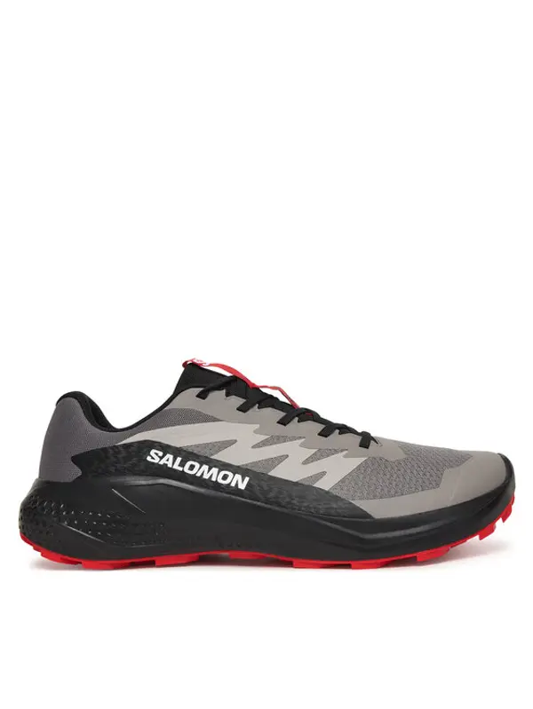 Salomon Salomon Tenisice za trčanje Alphaglide L48000800 Siva