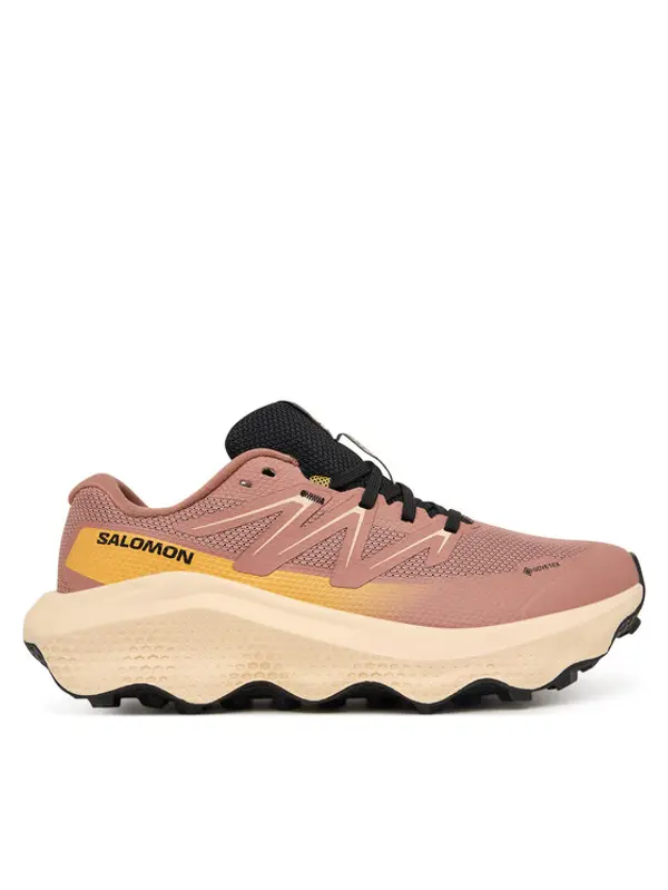 Salomon Salomon Tenisice za trčanje Ultra Flow 2 Gtx L47884500 Ružičasta