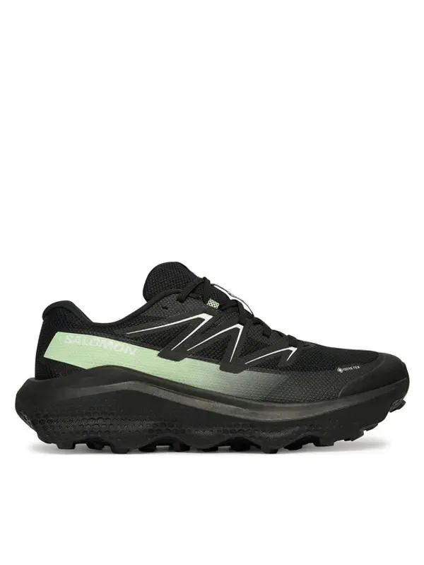 Salomon Salomon Tenisice za trčanje Ultra Flow 2 Gtx L47981400 Crna