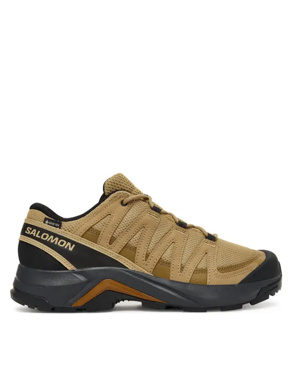 Salomon Salomon Trekking X-Adventure Recon Gore-Tex L47813100 Smeđa