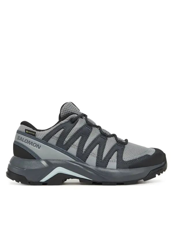Salomon Salomon Trekking X-Adventure Recon Gore Tex L47813300 Siva