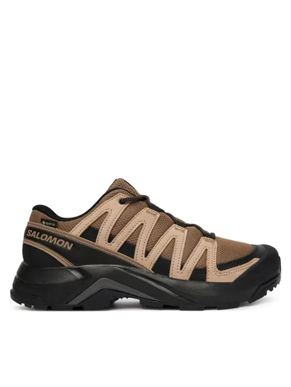 Salomon Salomon Trekking X-Adventure Recon Gtx L49096000 Smeđa