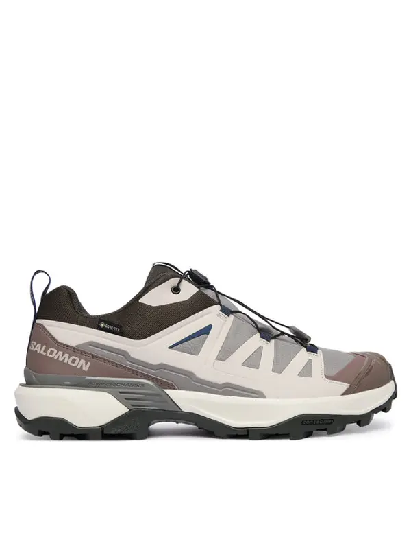 Salomon Salomon Trekking X Ultra 360 Gtx L45395200 Smeđa