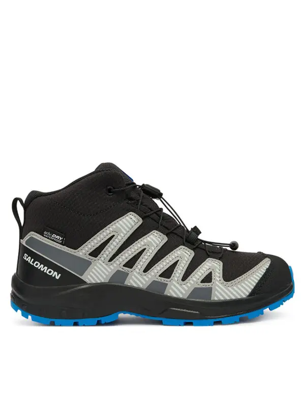 Salomon Salomon Trekking Xa Pro V8 Mid Waterproof L47729800 Crna