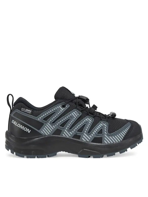 Salomon Salomon Trekking Xa Pro V8 Waterproof L47729300 Crna