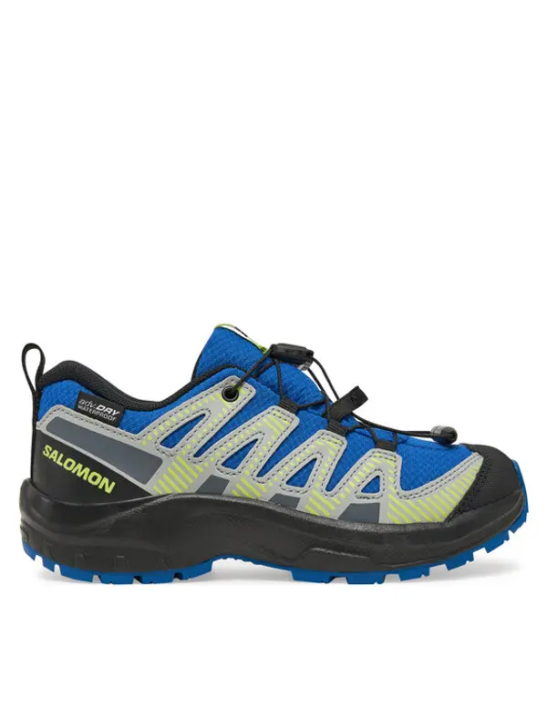 Salomon Salomon Trekking Xa Pro V8 Waterproof L47729600 Plava