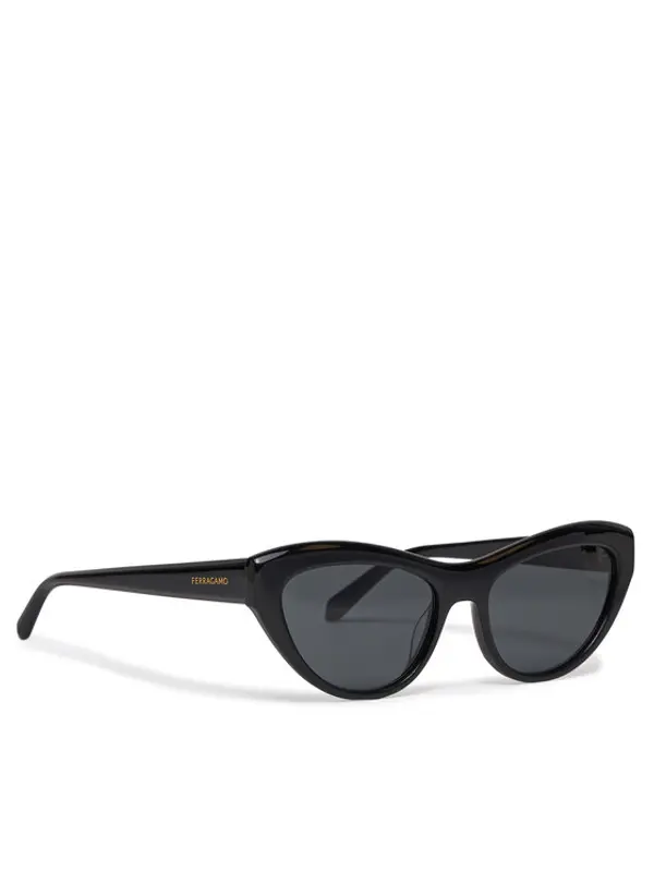 Salvatore Ferragamo Salvatore Ferragamo Sunčane naočale SF1103S 001 Crna