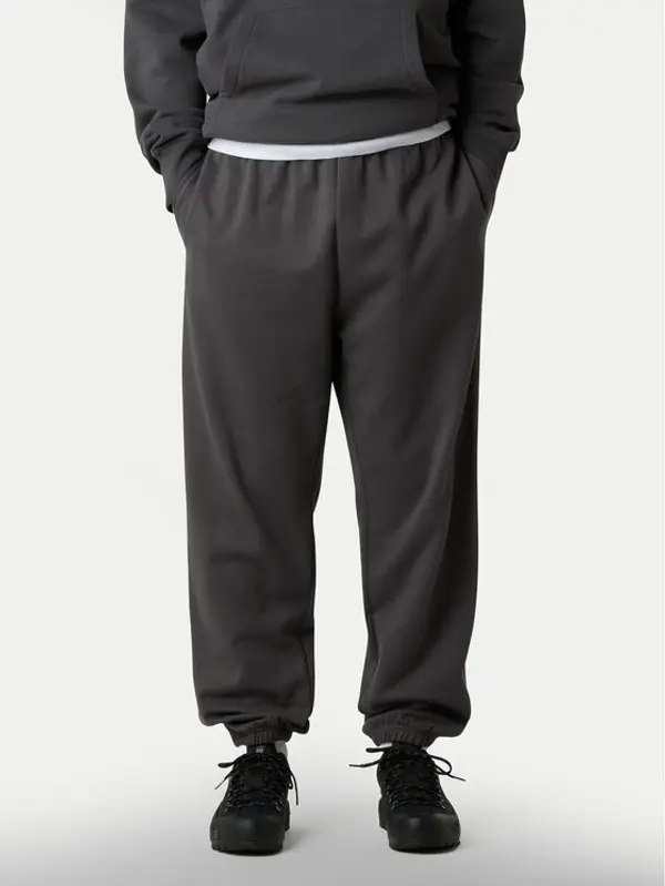 The North Face The North Face Donji dio trenerke Expedition Celebration NF0A8E3E Siva Relaxed Fit