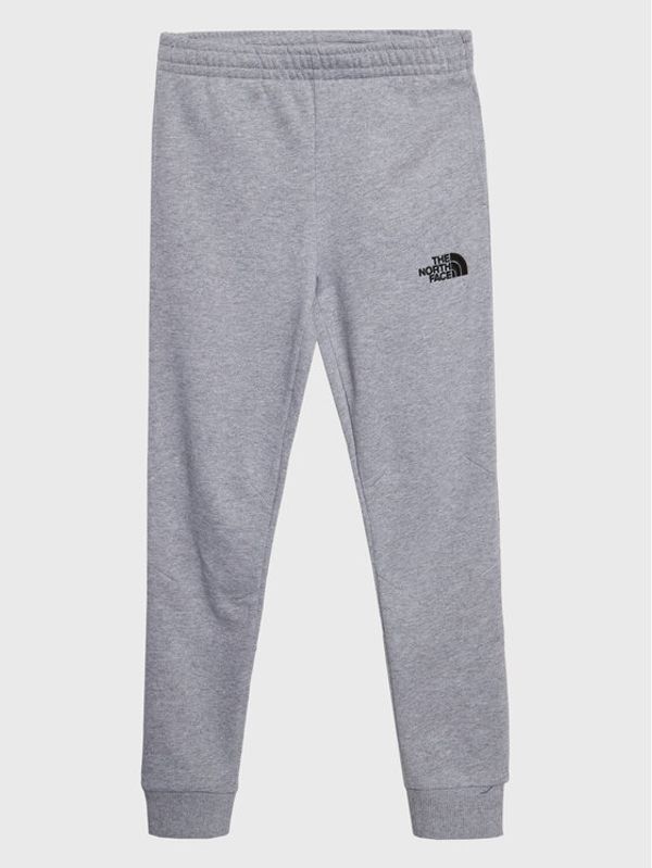 The North Face The North Face Donji dio trenerke Teen NF0A82EO Siva Regular Fit