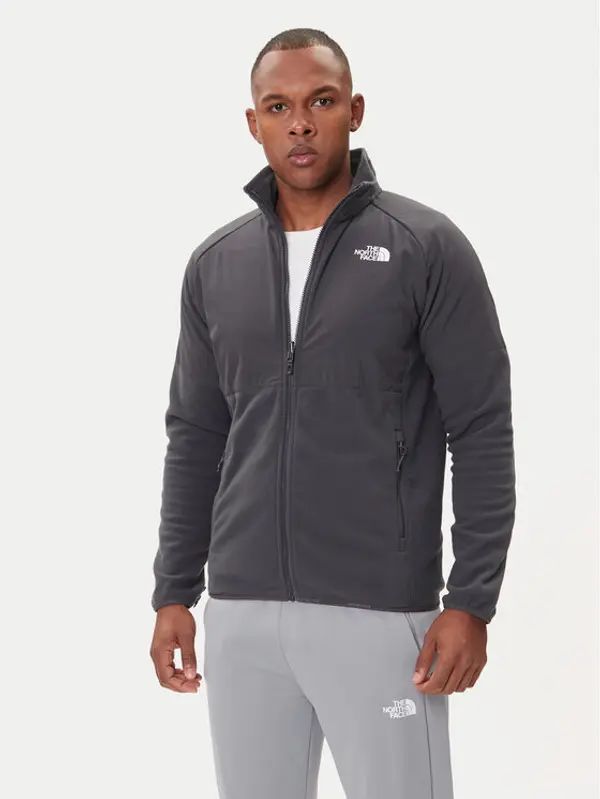The North Face The North Face Flis Glacier NF0A89JG Siva Regular Fit