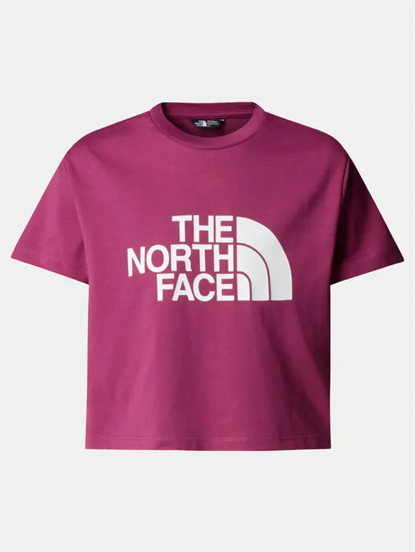 The North Face The North Face T-shirt Easy NF0A8DRQ Ružičasta Relaxed Fit